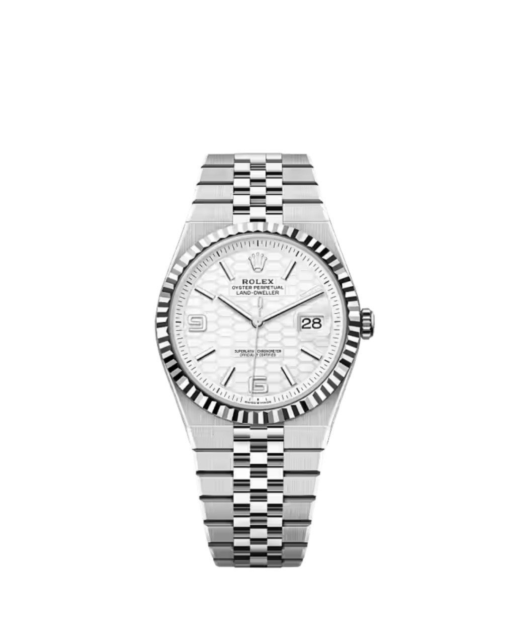 ROLEX LAND-DWELLER 40 OYSTER STEEL WHITE GOLD EDITION (2025 MODEL)
