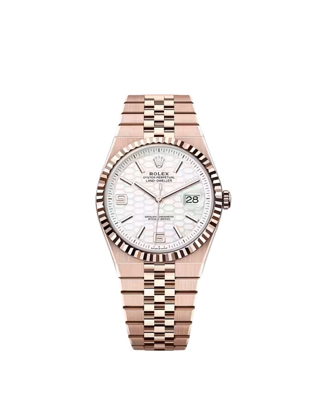ROLEX LAND-DWELLER 40 OYSTER STEEL EVEROSE GOLD (2025) MODEL